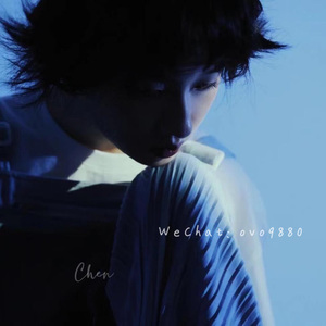 少妇被下药强摸做爰A片
