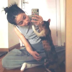 少妇被下药强摸做爰A片
